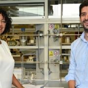 Università Ca’ Foscari Venezia: brevetto di trasformazione di nanomateriali intelligenti dal guscio del granchio blu
