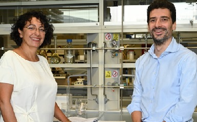 Università Ca’ Foscari Venezia: brevetto di trasformazione di nanomateriali intelligenti dal guscio del granchio blu